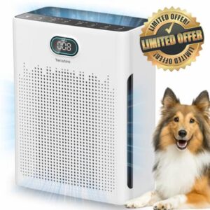Air Purifiers for Home