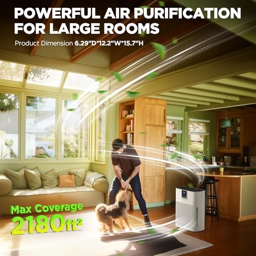 DBFIT HEPA Air Purifier with Washable Nylon Pre-Filter