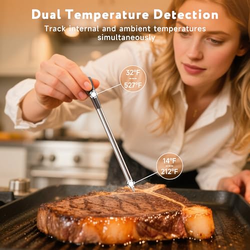 527°F Heat Resistant Probe