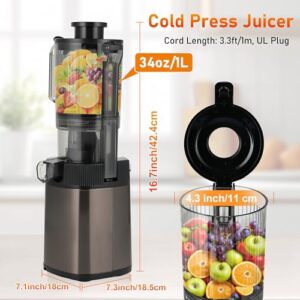 34oz Slow Masticating Juicer for Fruits and Vegetables