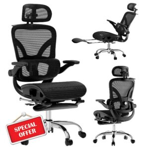 Alllion Ergonomic Mesh Office Chair