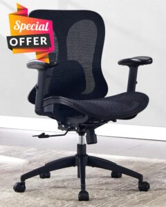 Ergonomic Office Desk Chair