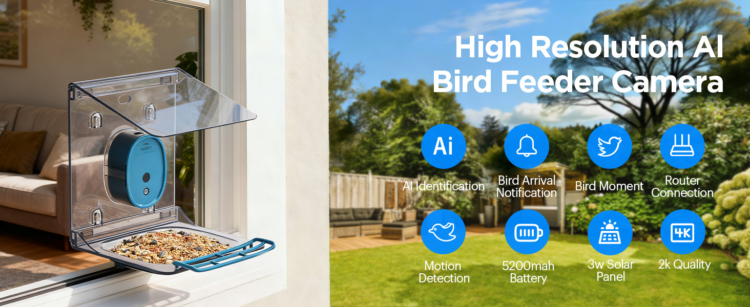 bird feeder with camera