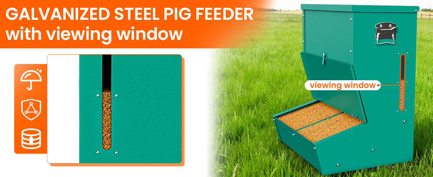 feeder with viewing window