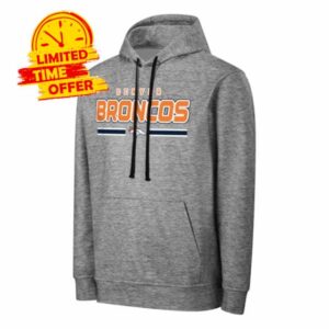 FOCO NFL Men's Officially Licensed Gray Team Color Primary Logo Wordmark Performance Victory Stripe Pullover Hoodie