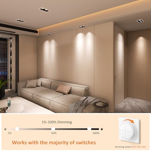 20W Adjustable Downlight