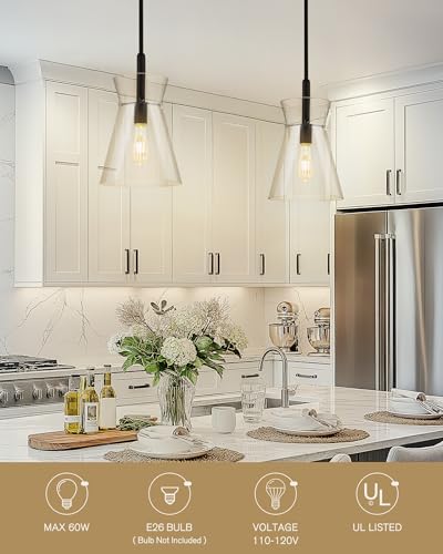 Modern 9 Inch Large Clear Glass Pendant Light