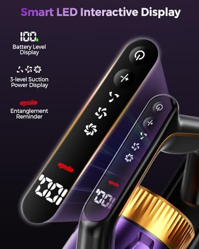 Removable Handheld Vacuum for Pet Hair/Carpets/Floors/Sofa