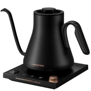 Gooseneck Electric Kettle