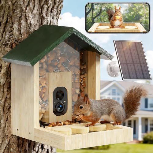 Smart Squirrel Feeder Solar-Powered