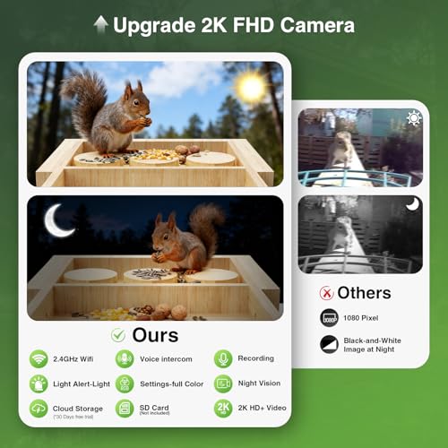 2K HD+ Video