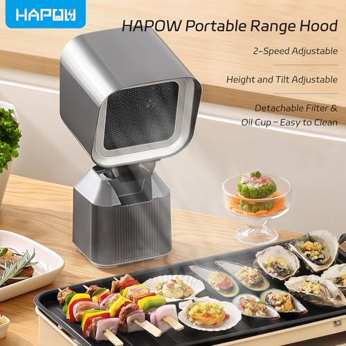 2 Speed Adjustable Portable Kitchen Exhaust Fan with Height and Tilt Adjustable