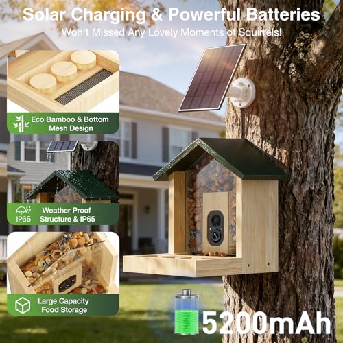 Squirrel Houses for Outside