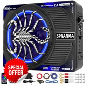1600W 10" Car Subwoofer