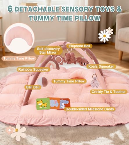 Plush Activity Mat with 6 Toys