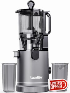 Cold Press Juicer Machine