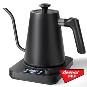 Gooseneck Electric Kettle