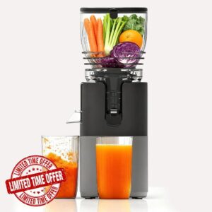 6 Inch Feed Chute Cold Press Juicer for Whole Vegetables & Fruits