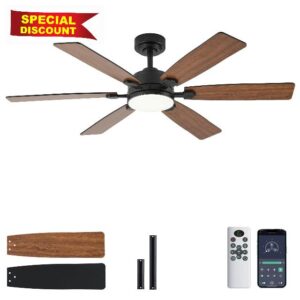 Ceiling Fans with Lights