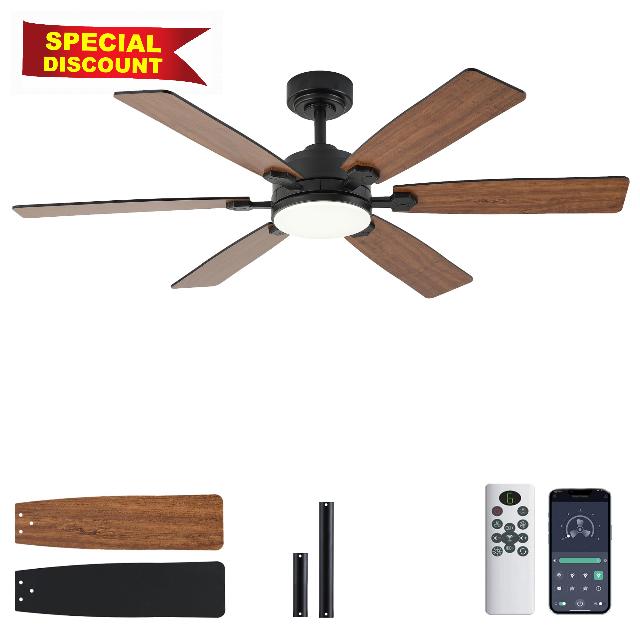 Ceiling Fans with Lights