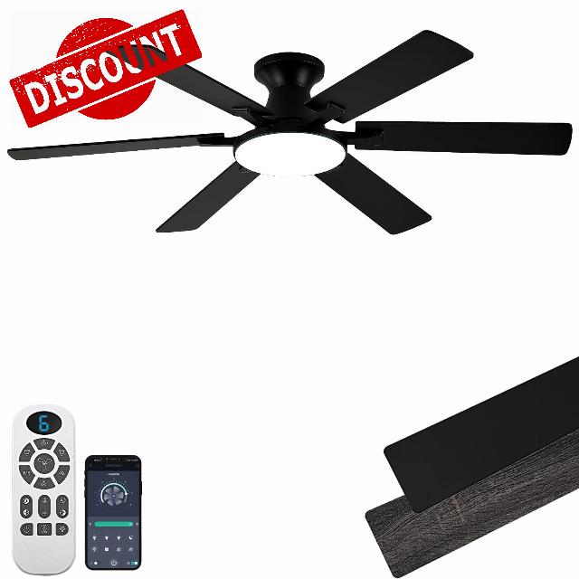 Ceiling Fans with Lights