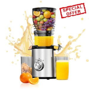 Cold Press Juicer - Slow Masticating Juicer Machines for Vegetable and Fruit