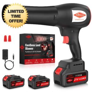Leaf Blower Cordless with Battery and Charger