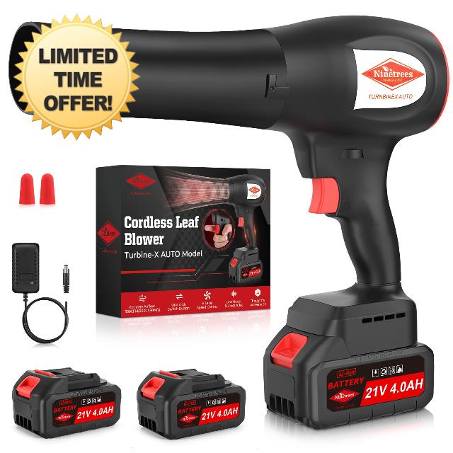 Leaf Blower Cordless with Battery and Charger
