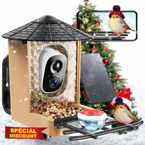 Smart Bird Feeder with Camera with AI Identify Birds Species & Solar Panel