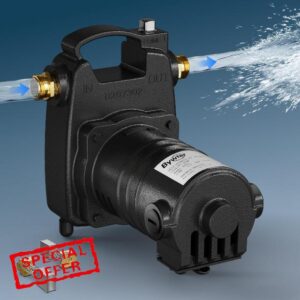 115V Cast Iron Transfer Pump