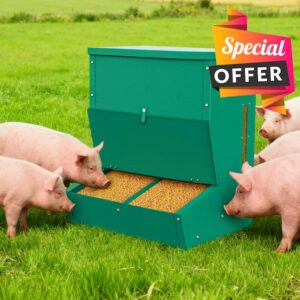 Pig Feeder