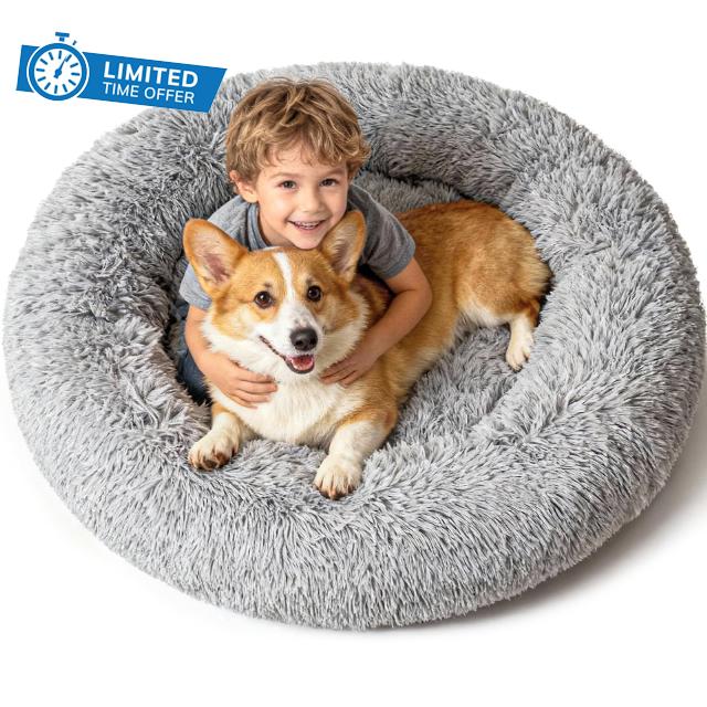 Extra Large Donut Calming Dog Bed with Orthopedic Memory Foam Dogs