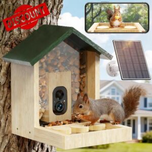 Wooden Squirrel Feeder with Camera