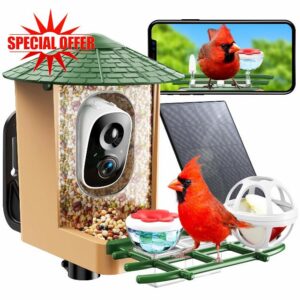 Smart Bird Feeder with Camera with AI Identify Birds Species & Solar Panel