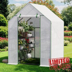 Greenhouse for Outdoors