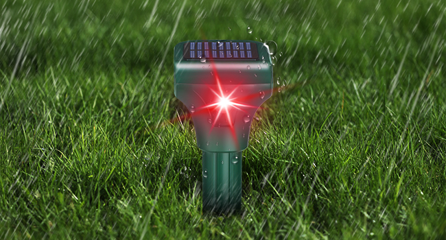 mole repellent solar powered