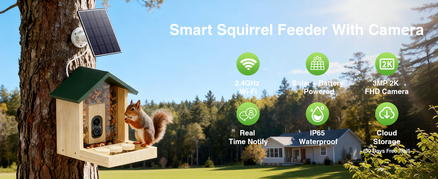 Squirrel Feeder with Camera