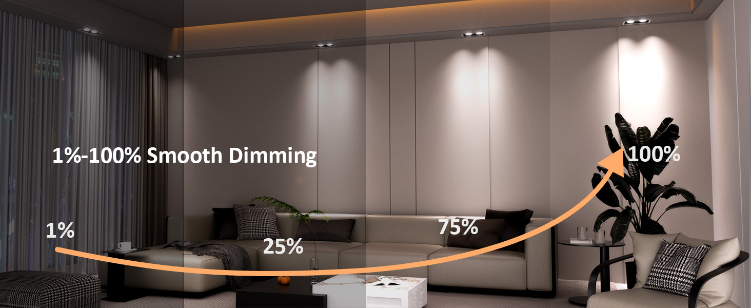recessed light conversion kit