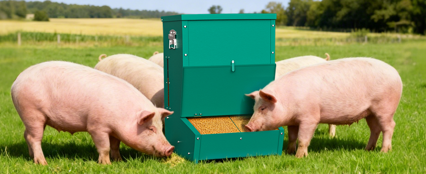 2-door hog feeder