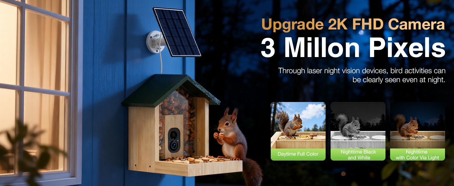 Squirrel Feeder with Camera
