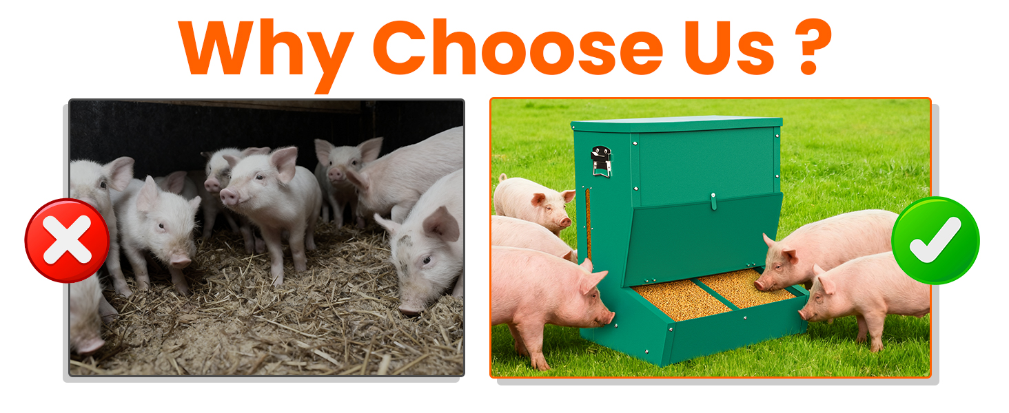 better pig feeder