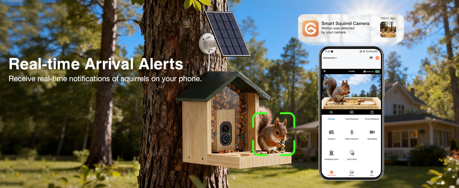 Squirrel Feeder with Camera