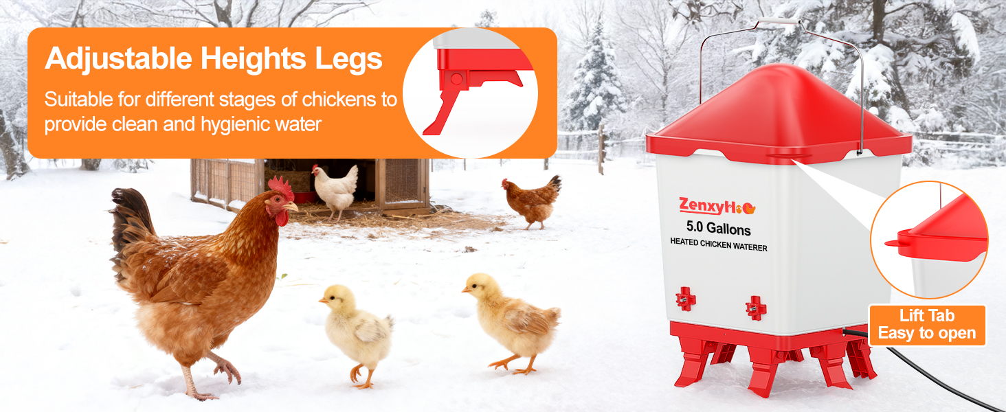 5 Gallons Heated Chicken Waterer