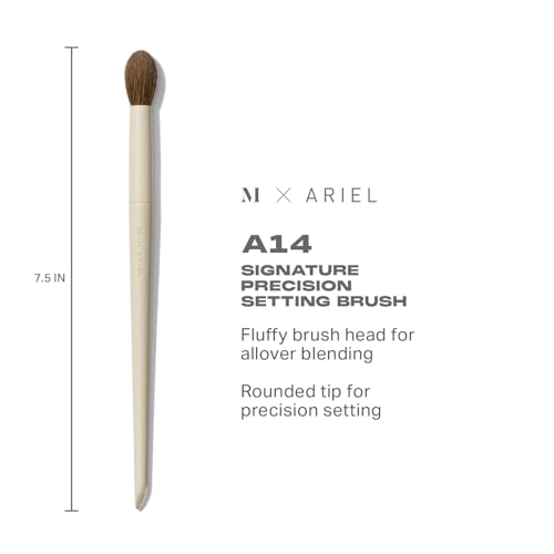 and A22 Blush Brushes (5 Piece Set)