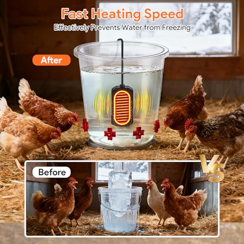 Fast Heating Water for Chickens