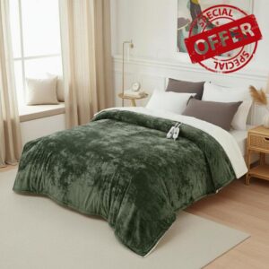 GarveeHome Heated Blanket Queen Size Electric Blanket with Dual Control