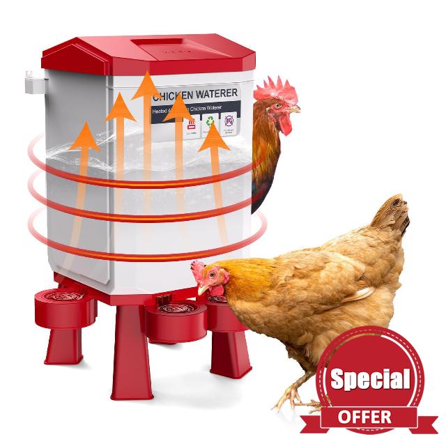 Heated Chicken Waterer