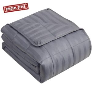yescool Weighted Blanket for Adults (25 lbs