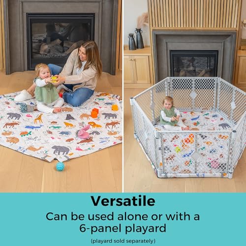 Portable for Indoor & Outdoor Use