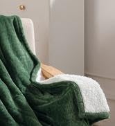 Electric Blanket Heated Throw, 50